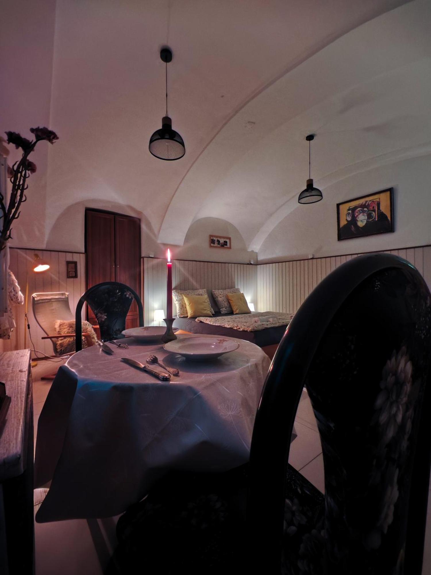 Vintage Room With Garden View Pozsony Kültér fotó