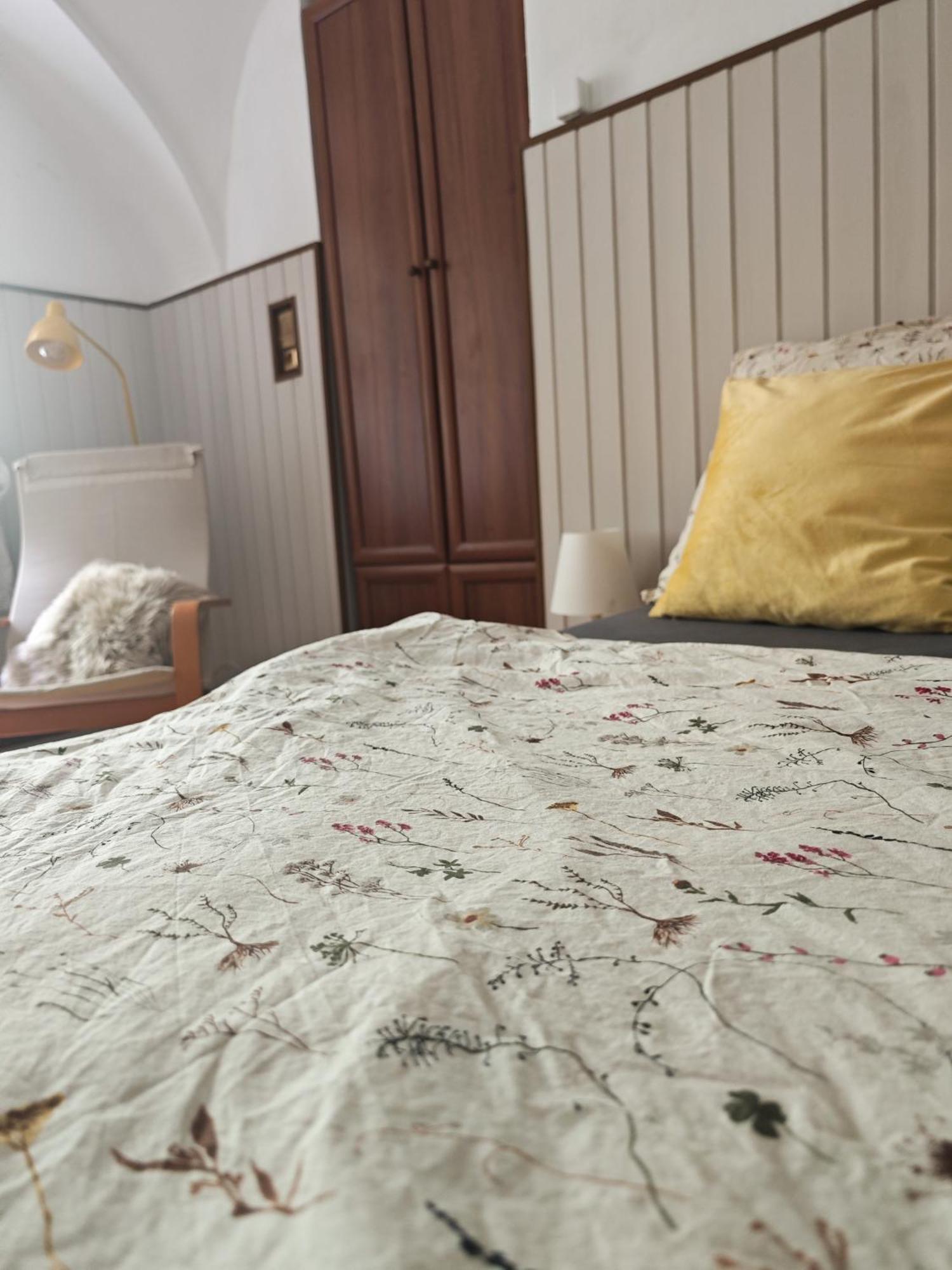 Vintage Room With Garden View Pozsony Kültér fotó