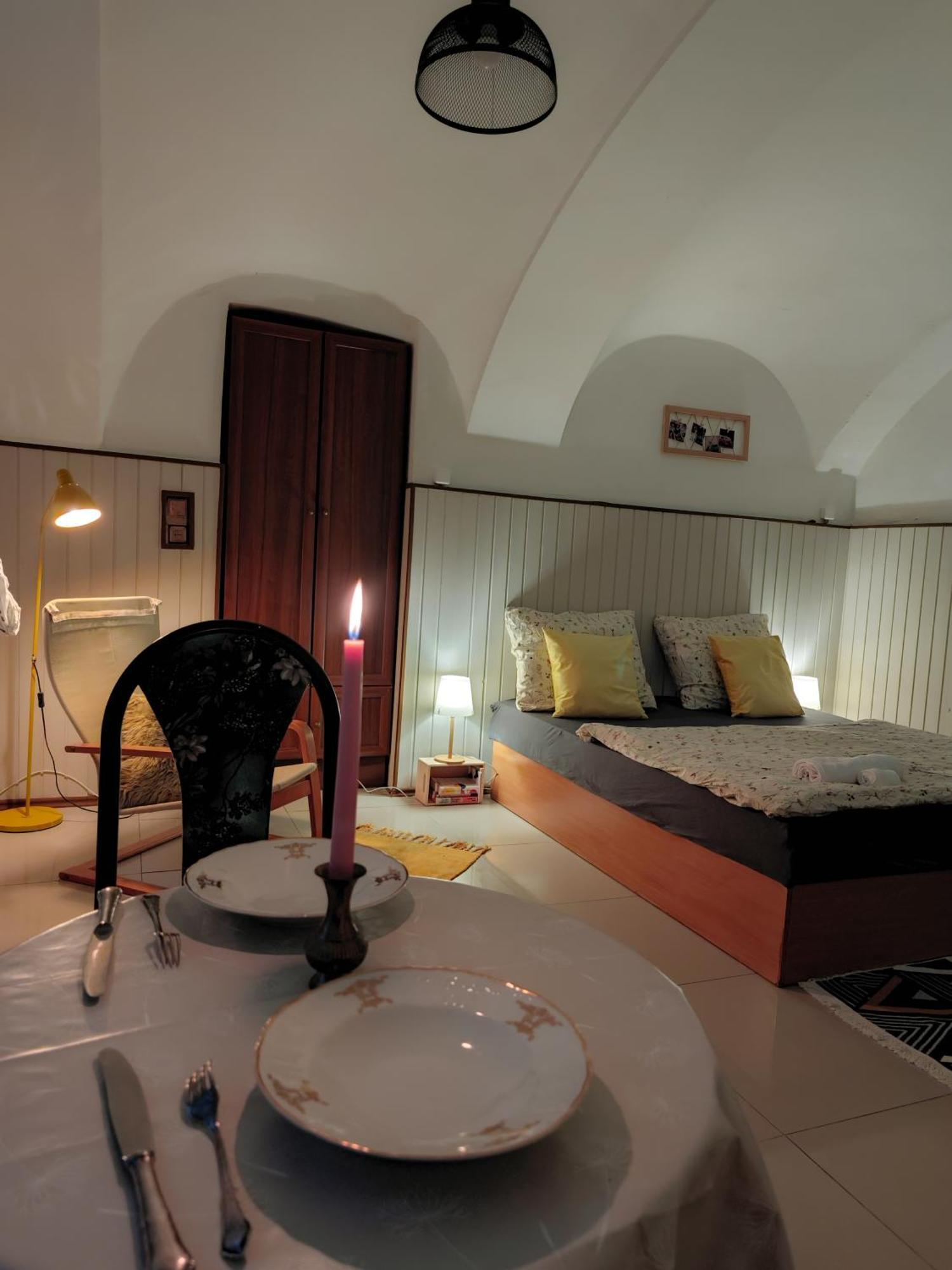 Vintage Room With Garden View Pozsony Kültér fotó