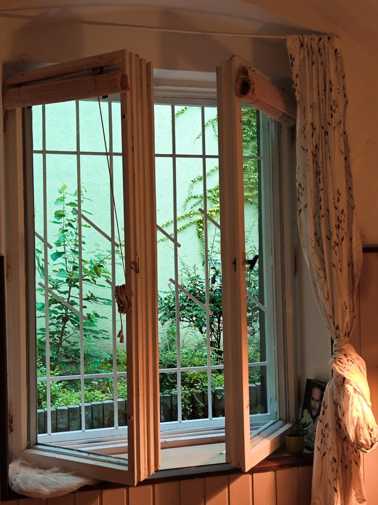 Vintage Room With Garden View Pozsony Kültér fotó
