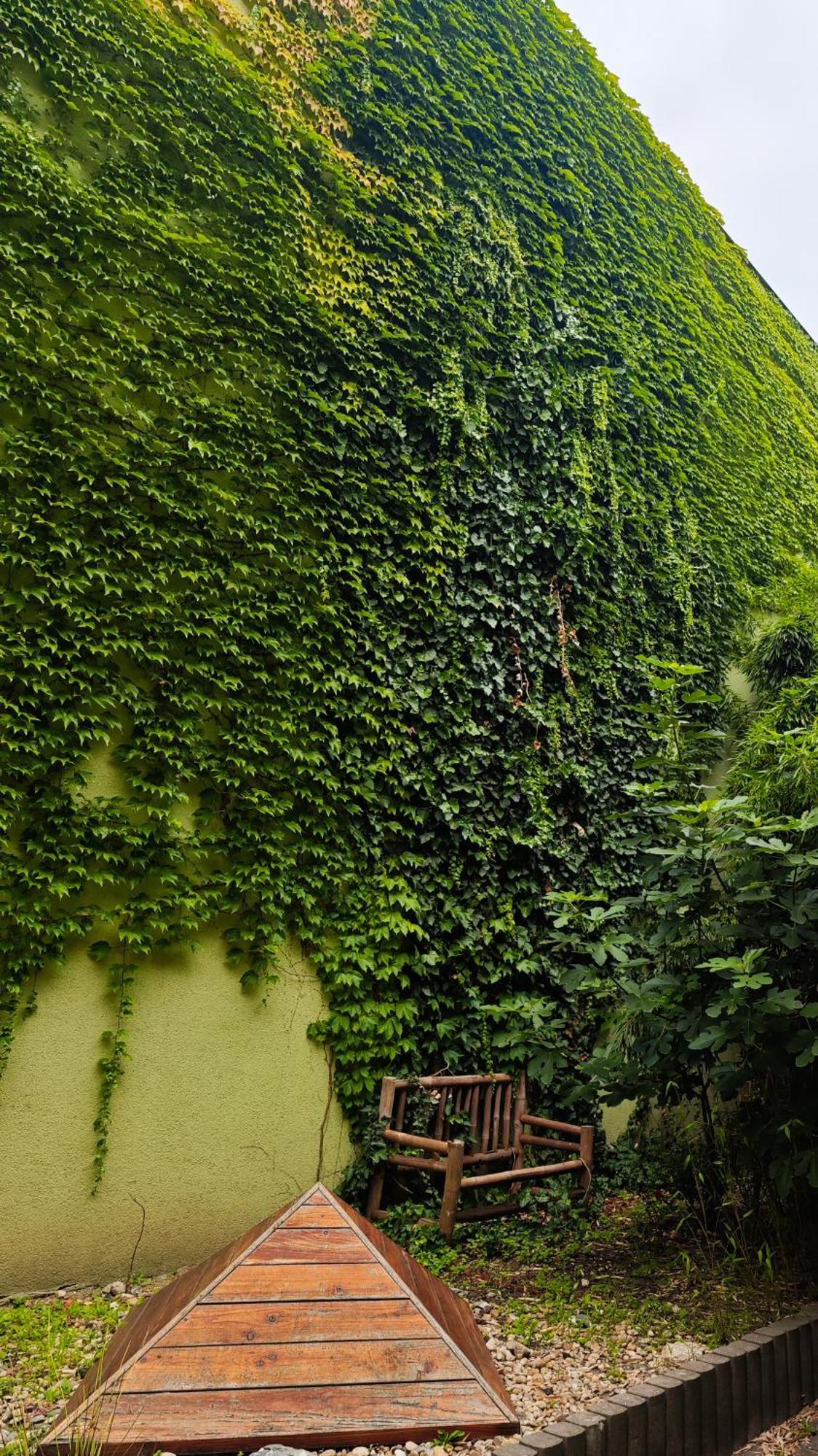 Vintage Room With Garden View Pozsony Kültér fotó