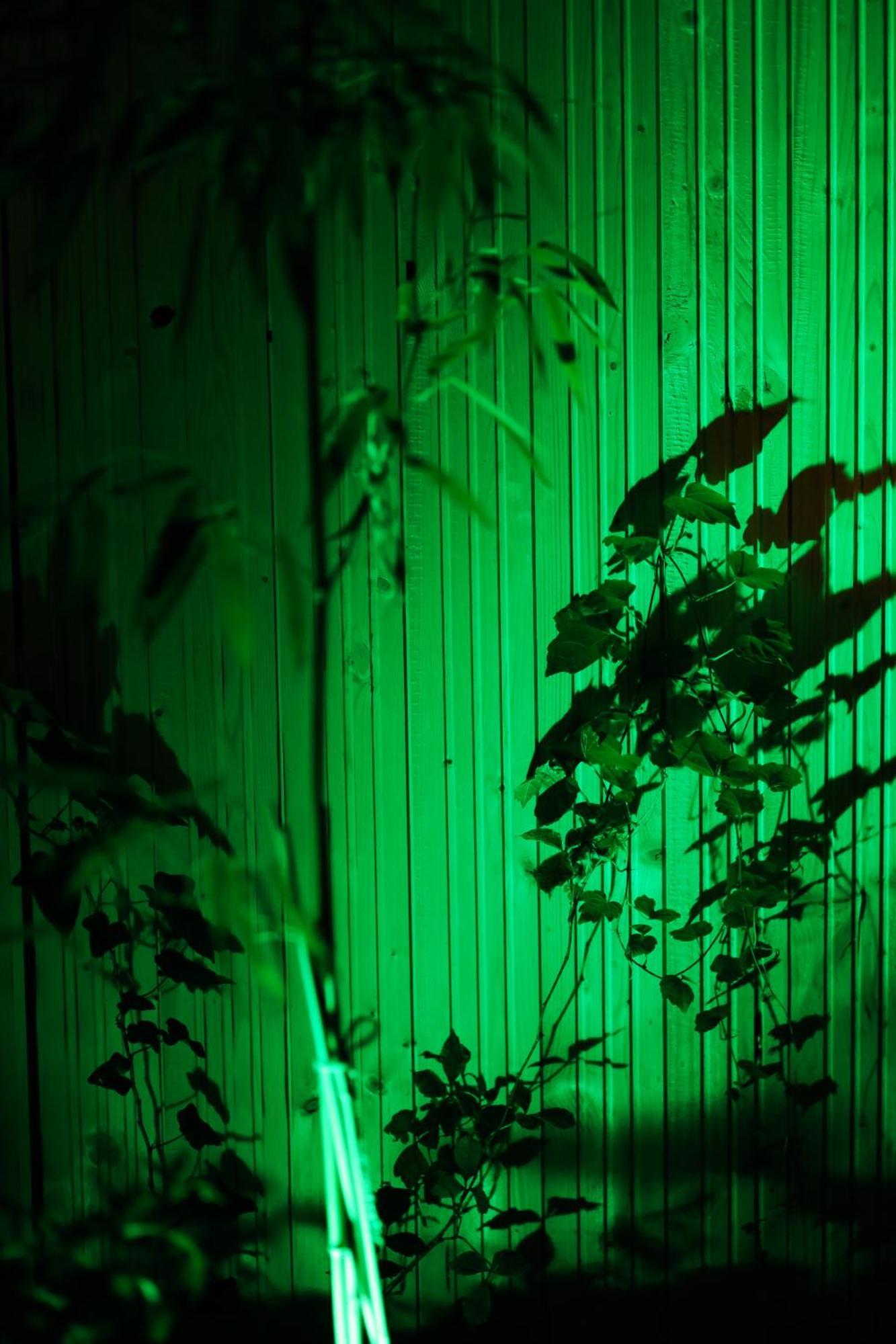 Vintage Room With Garden View Pozsony Kültér fotó